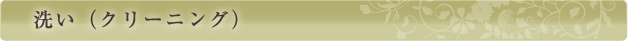 洗い（クリーニング）